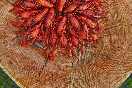 Crawfish cooked and served on wooden background