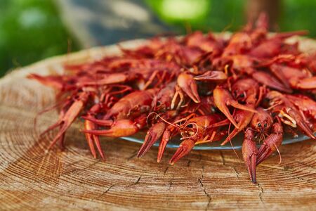 Crawfish cooked and served on wooden background