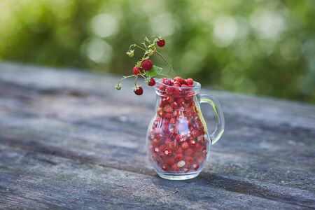 Forest strawberry gathered in jug picked from forest fresh at summerの写真素材