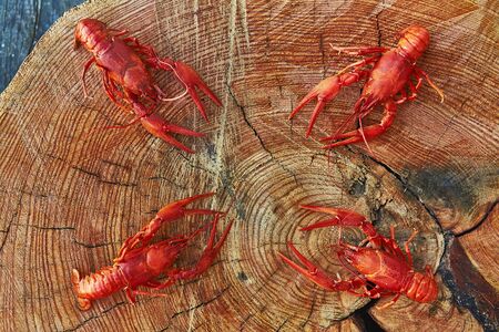 Crawfish cooked and served on wooden backgroundの写真素材