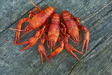 Crawfish cooked and served on wooden backgroundの写真素材