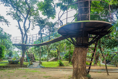 Bridge on the treesの写真素材