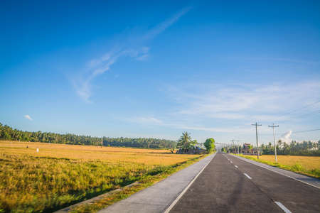 Long and winding country roadの写真素材