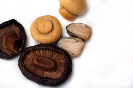 mushroomsの写真素材