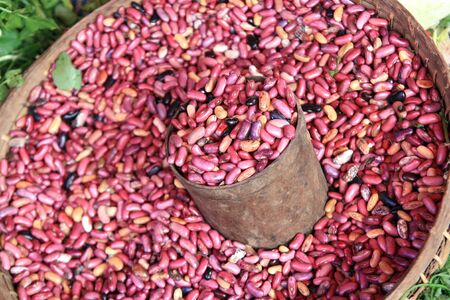 red beanの写真素材