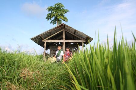 asian farmerの写真素材