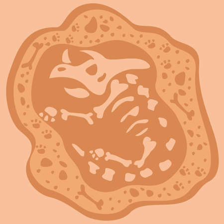 Triceratops Fossil in Cartoon Style. Suitable to place on children book.のイラスト素材
