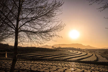 North terraceの写真素材