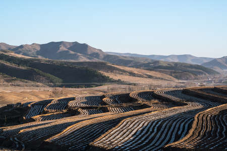 North terraceの写真素材