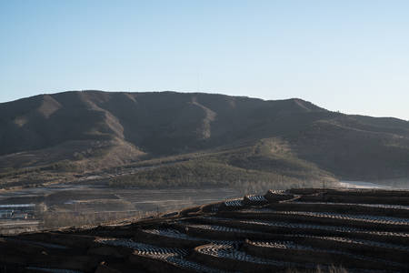 North terraceの写真素材