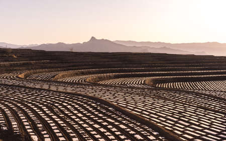 North terraceの写真素材