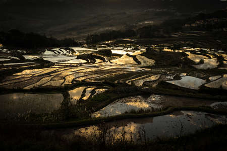 Yuanyang terraced fieldsの写真素材