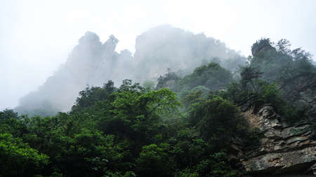 Wulingyuan Zhangjiajie Scenic Areaの写真素材