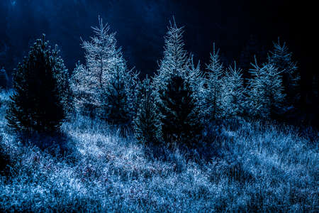 Autumn on Bashang grasslandの写真素材