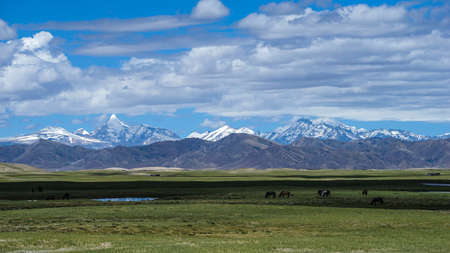 Nature scenery landscape view of a snow mountain in Tibetの写真素材