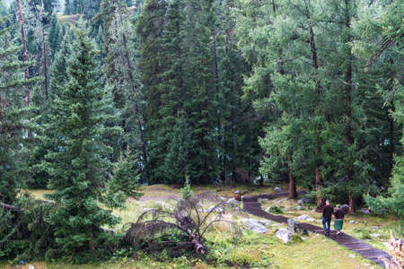 Kanas lake walking pathの写真素材