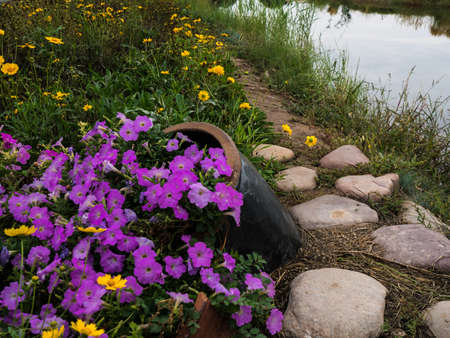 walkpath and purple flowersの写真素材