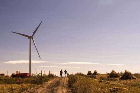 oat field with windmill