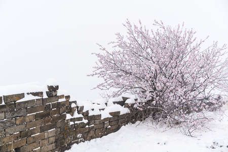 Jiankou Great Wallの写真素材