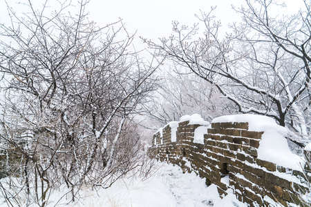 Ice and snow peach blossomの写真素材