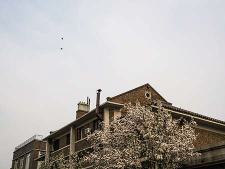 Urban architectureのeditorial素材