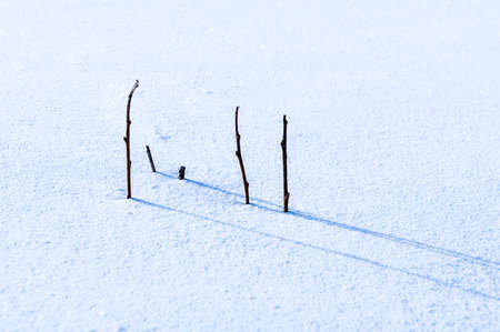 snow sceneの写真素材