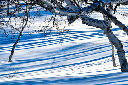 snow scene