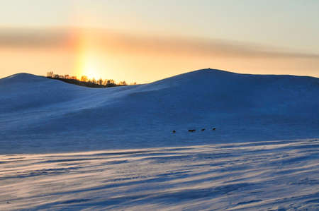 snow scene under sunset