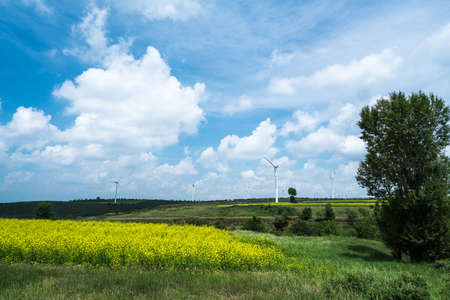 The pastoral scenery of the Loess Plateau
