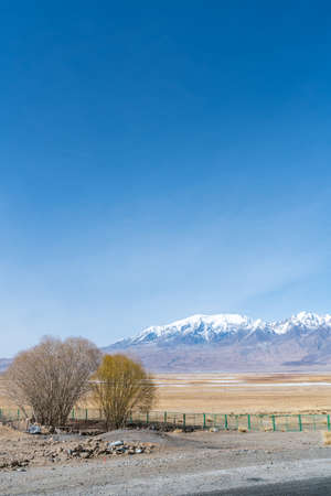 Taheman rural scenery in Kashgar, Xinjiang, Chinaの写真素材
