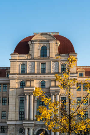 Ginkgo biloba, Tianjin, Chinaのeditorial素材