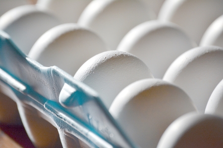 Eggs are shown in a carton in strong light with focus on the texture of one eggの写真素材