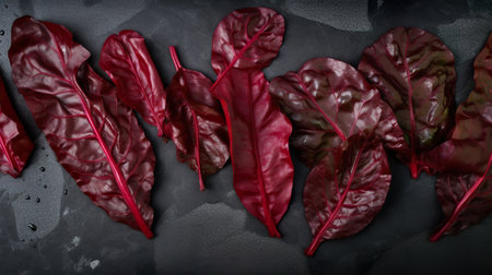 Red beet leaf salad, overhead flat lay, top view, AI generativeの素材