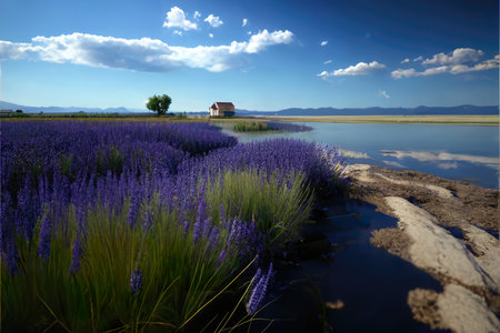 Lavender fields by lake Balaton in Hungarys Balaton region. AI generative illustration, generated by AI.の素材