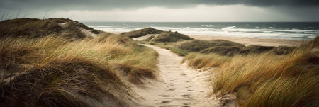 Panoramic banner, desolate Autumn seaside with yellow grass and overcast sea, AI generative panoramaの素材