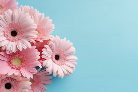 Pink gerbera flowers on a blue surface. Generative AI. Copy space, place for text, copyspace.の素材