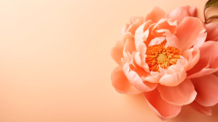 A large pink flower sitting on top of a table. Peach fuzz, color of the year 2024, monochromatic image.の素材