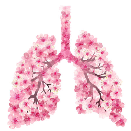 The lungs are covered in pink flowers. Concept illustration of healthy lungs.の素材