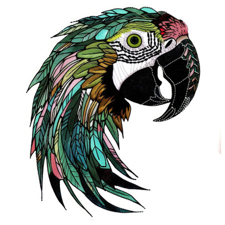 A drawing of a colorful parrot with feathers on its head. Embroidery on white backgroundの素材