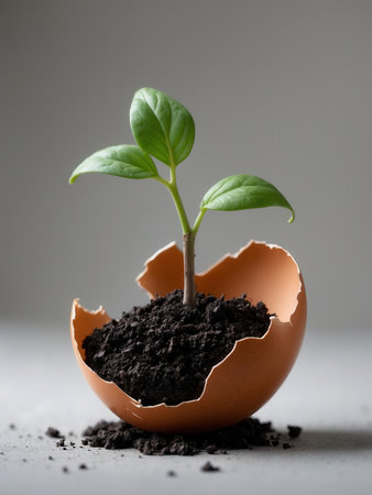 Young green plant sprouting from rich soil placed inside a cracked eggshell, symbolizing growth, sustainability, and eco-friendly concepts on a neutral background.の素材