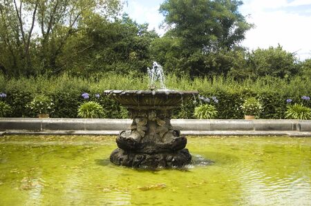 Fountain placed in the park pond, some vegetation in the backgroundの写真素材