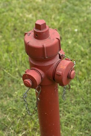 Close-up of a red hydrant on the green grassの写真素材