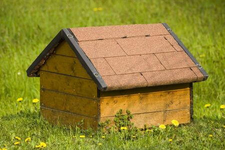 Little wooden house positioned in the grassの写真素材