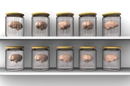 Brains in a glass pots put on the shelvesの写真素材