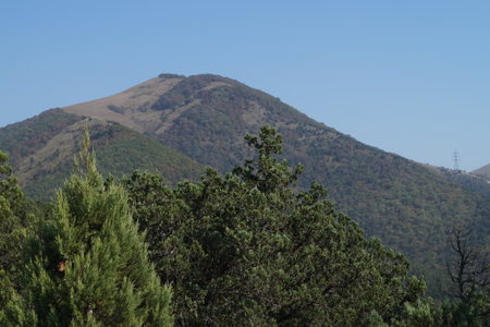 Mountain landscape with juniper trees and blue sky in the background.の写真素材