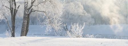 winter trees near a river covered with hoar at morning lit with sunlightの写真素材