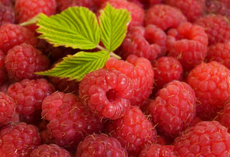 Raspberries background