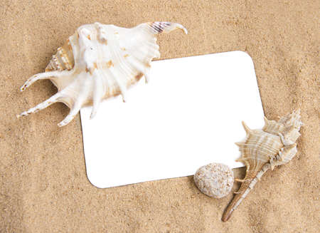 Holiday concept, blank paper on the beach with seashells