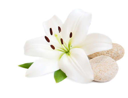 white lilly and massage stones on a white backgroundの写真素材