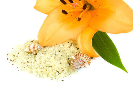 Yellow lily, herbal sea salt and seashellsの写真素材
